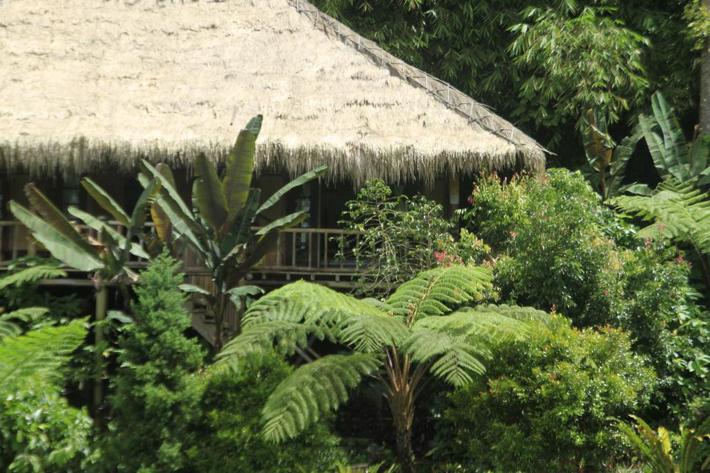 מלון Warung Rekreasi Bedugul חדר תמונה