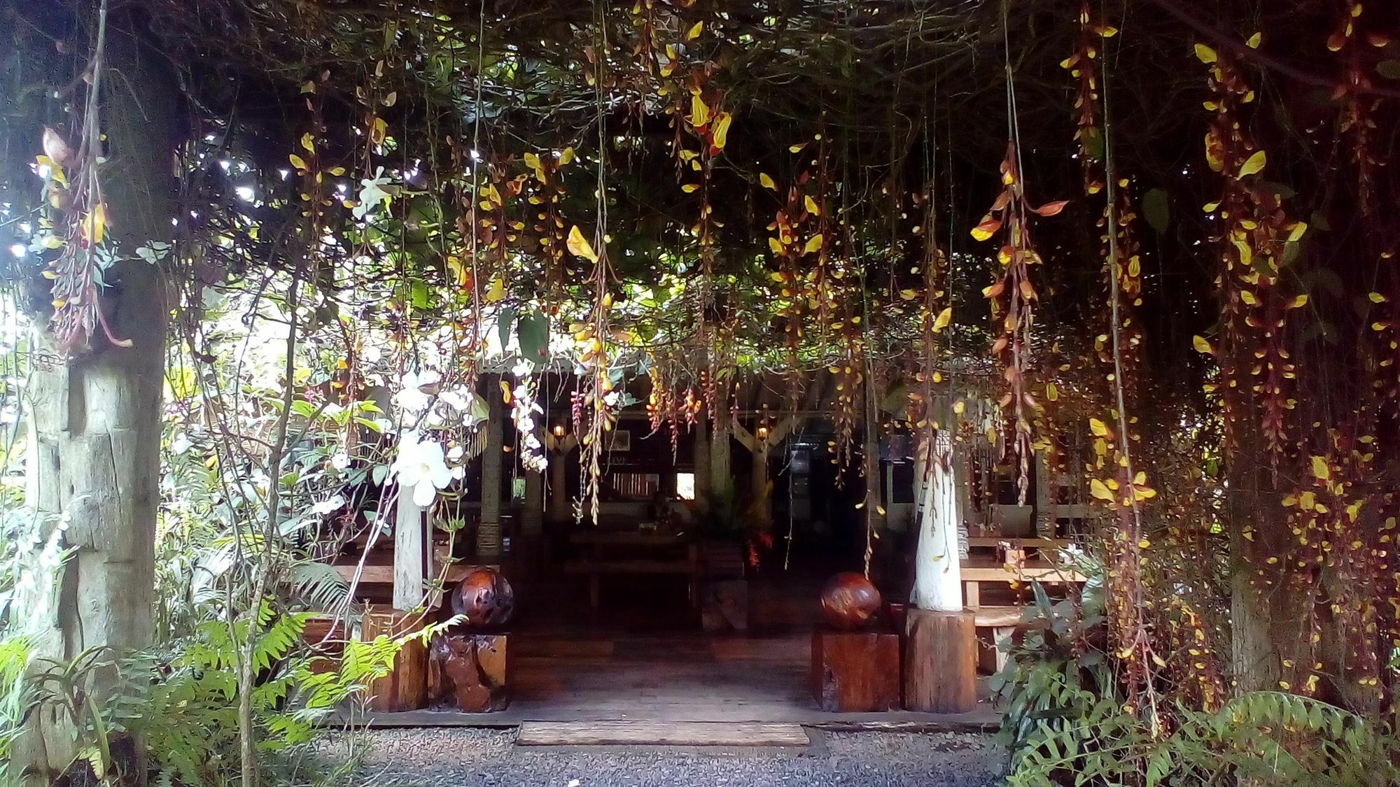 מלון Warung Rekreasi Bedugul מראה חיצוני תמונה